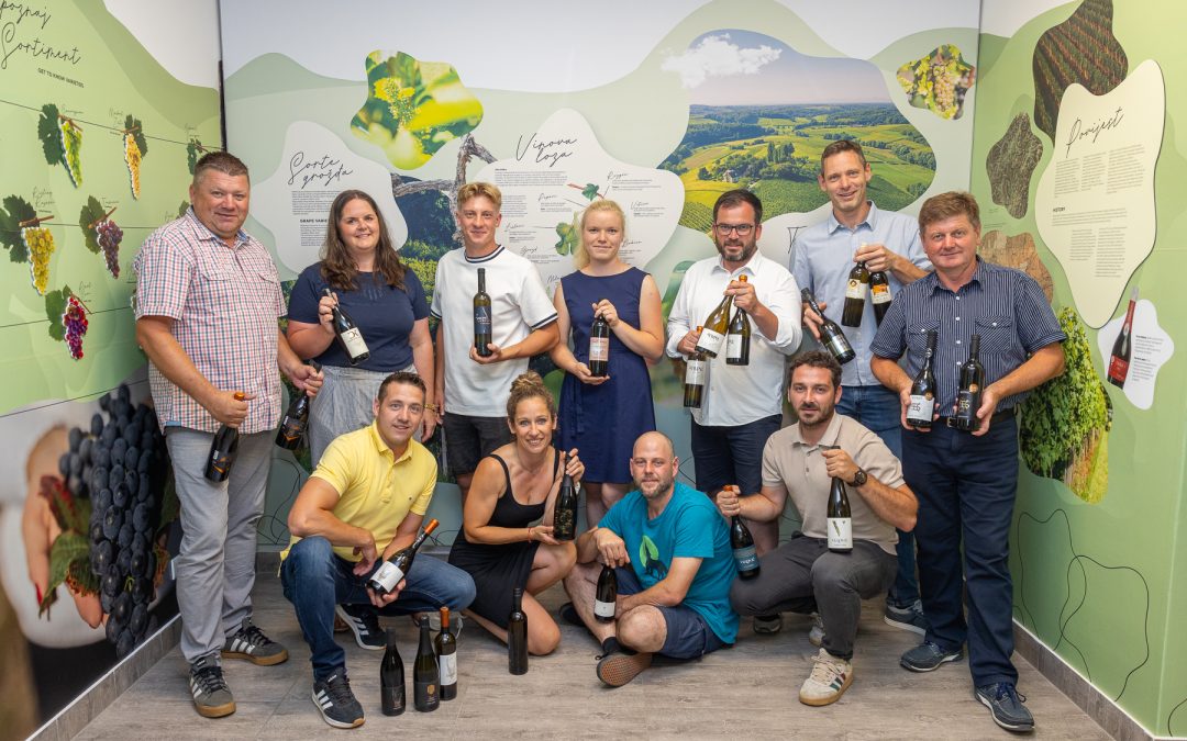 DECANTER 2025: Međimurski vinari još su jednom dokazali da pripadaju svjetskom vrhu